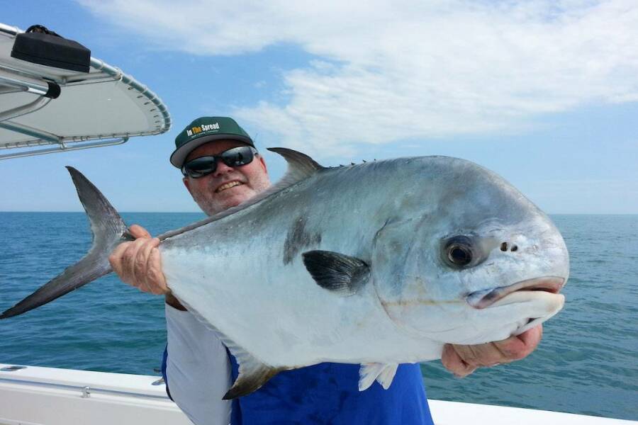 Permit Fishing Know The Species