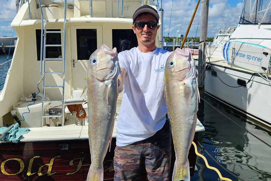 Golden Tilefish -Biology of a Deep Water Delicacy