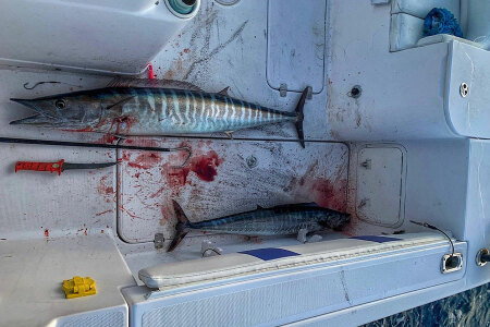 Planer Fishing - Target Suspended Fish