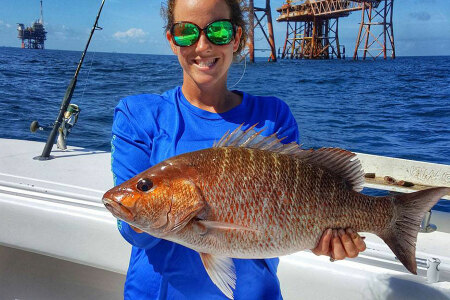 Mangrove Snapper caught chumming in the Gulf of Mexico