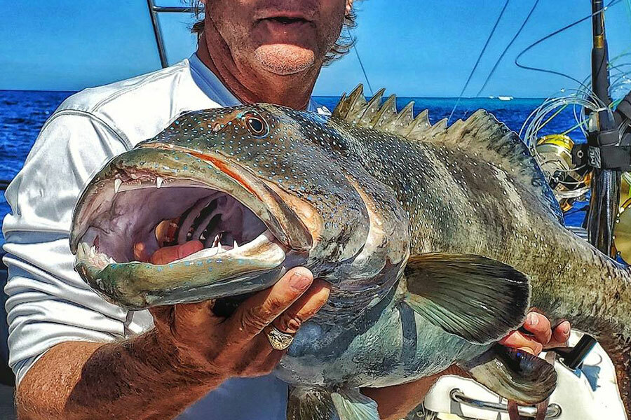 Carolina Rig for Bottom Fishing