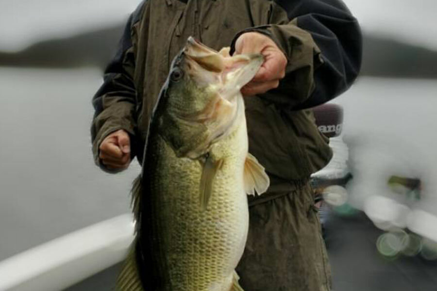 Use Your Electronics for Winter Bass Fishing