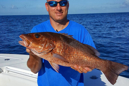 mangrove snapper caught offshore in Louisiana