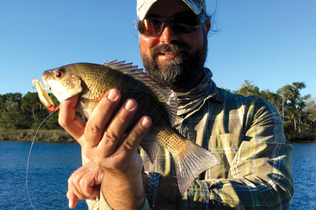 Mangrove Snapper fishing inshore waters