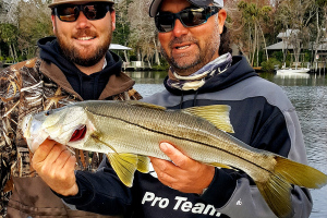 Lure Fishing Techniques for Winter Snook
