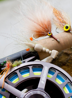 Tying Saltwater Flies with Backwater Fly Fishing