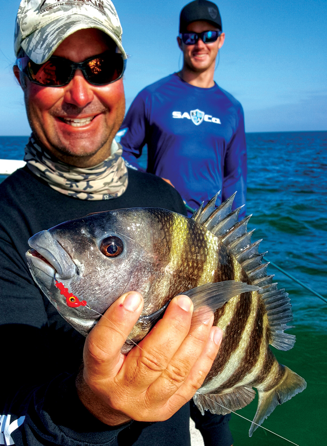 Sheepshead Fishing Florida Gulf Coast In The Spread