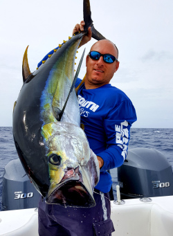 Live Chumming Yellowfin Tuna