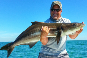 Baits and Lures for Cobia Fishing