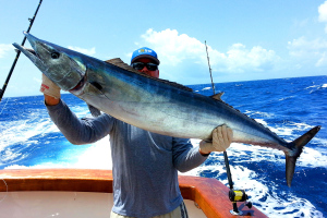High Speed Trolling for Wahoo