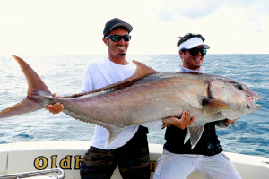 vertical jigging for amberjack in Miami
