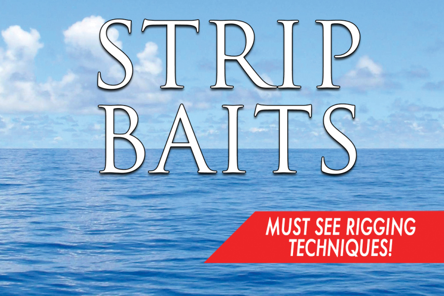 Rigging Strip Baits