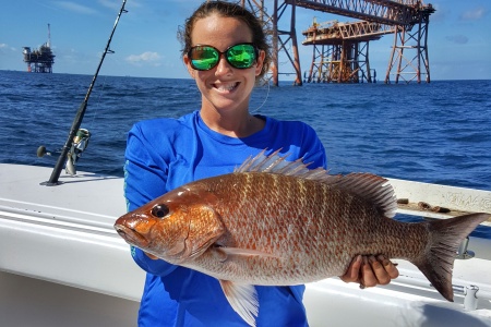 Mangrove Snapper caught chumming around oil rigs