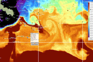 Sea Surface Temperature