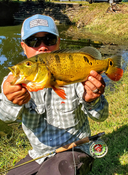 Urban Fishing Florida Peacock Bass with Justin Nguyen   