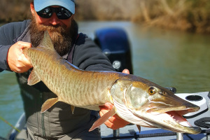 Musky Fly Fishing Gear with Chad Bryson