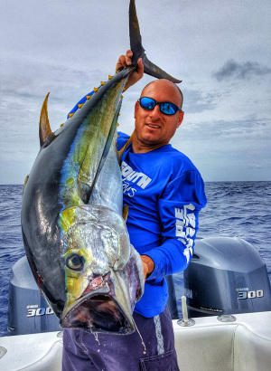 Live Chumming Yellowfin Tuna