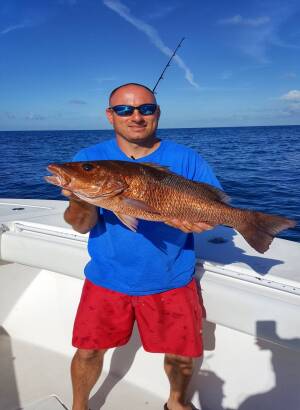 How to Catch Mangrove Snapper - Fishing Videos