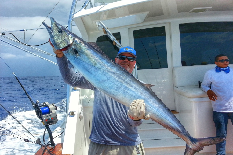 big wahoo caught in the Dominican Republic