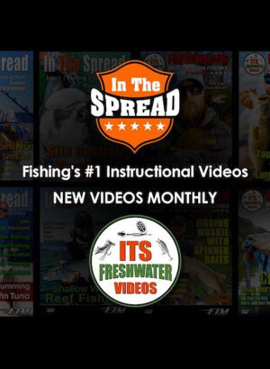 In The Spread Fishing video cover collage