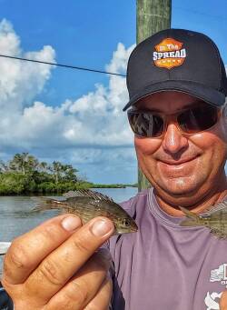  Best Fishing Baits for the Florida Gulf Coast