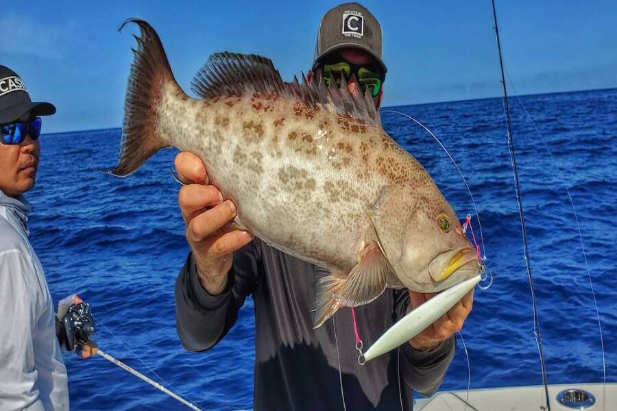 How to Catch Grouper - Knowledge is Key