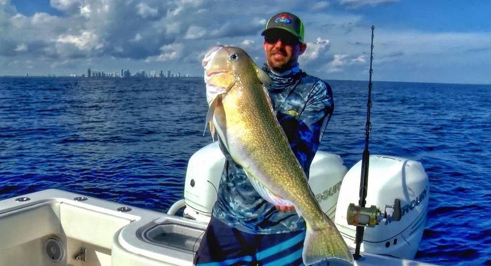 Deep Drop Tilefish Rig with 8/0 Circle Hooks – End Game Tackle Company