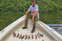 Mangrove Snapper on Slack Tide - William Toney