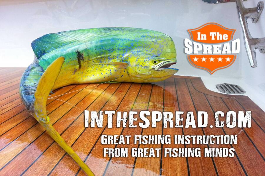 Fishing Videos - Knowledge Transfer from In The Spread