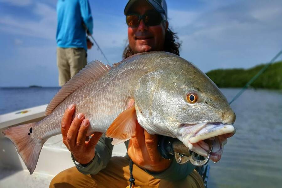 What's your favorite Redfish fly?  Dedicated To The Smallest Of Skiffs