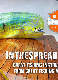 Fishing Videos - Knowledge Transfer from In The Spread