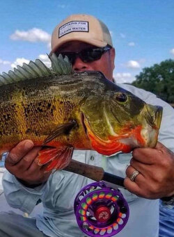 Justin Nguyen - Florida Peacock Bass Fishing Guide