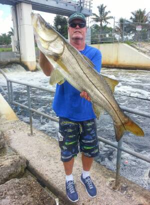 Fishing Spillways - Giant Snook Await