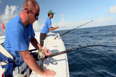 Chunking for Tuna - Fishing Videos