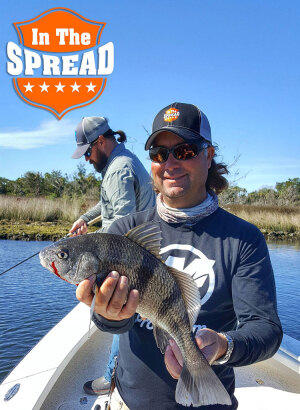 Winter Black Drum Fishing