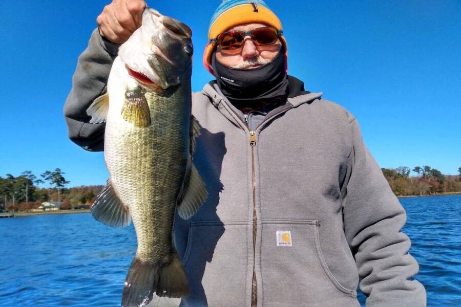 Winter Bass Fishing - Hard Targets