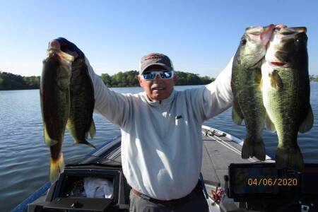 The Changing Habits of Bedding Bass