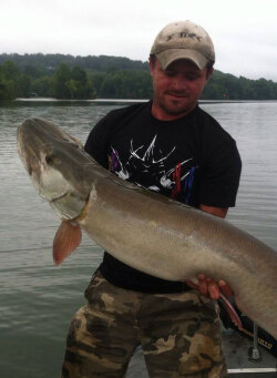 Cory Allen with a healthy Muskie - the Freshwater Apex Predator
