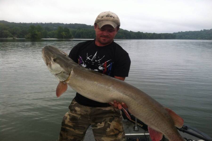 Cory Allen with a healthy Muskie - the Freshwater Apex Predator