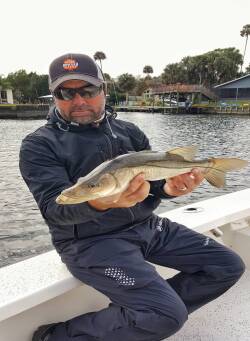Spring Snook Fishing - William Toney – Homosassa Florida