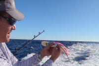 David Brackmann explains a Marlin Lure Spread 