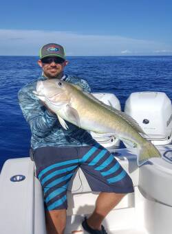 Tilefish - Fishing for Lobster By Another Name