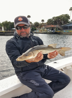 Florida Inshore Fishing - Winter Snook 
