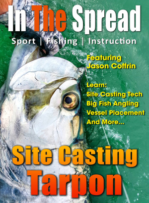 silver king tarpon caught by Seth Horne in Florida
