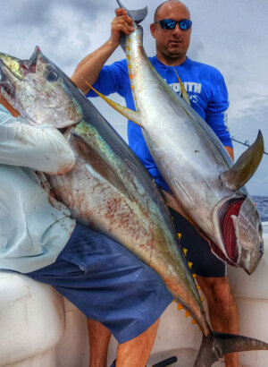 Learn Light Tackle Yellowfin Tuna Tactics