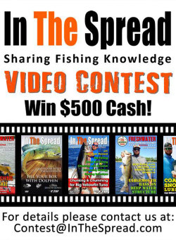  Win $500 - Video Contest