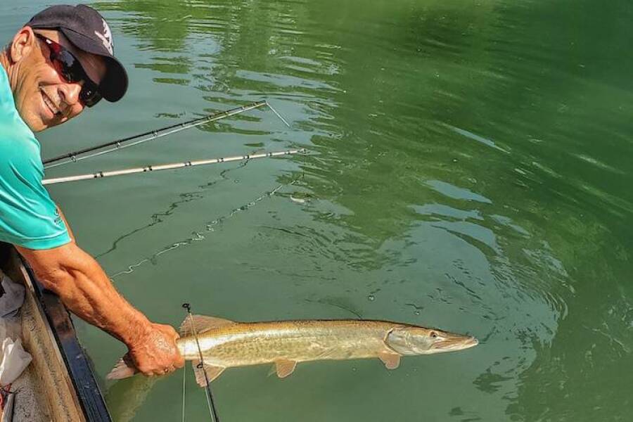 Is It Too Hot for Muskie Fishing - Dwayne Hickey