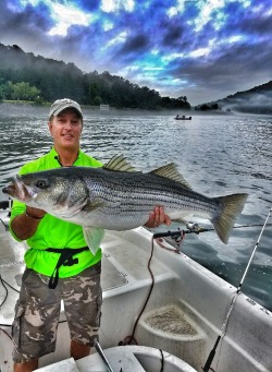 Fishing for Stripers in Tennessee