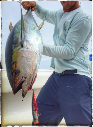 Yellowfin Tuna with topwater Lure