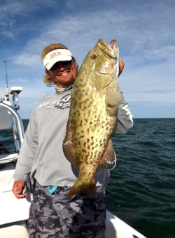 a nice gag grouper caught trolling by Dan Clymer
